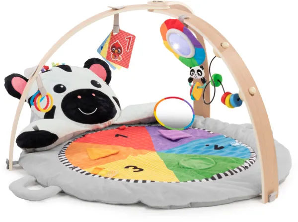 Spielteppich, Zens Activity Milestones